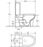 WATERSTONE-WASHDOWN TWO-PIECES TOILET SIZE:650X340X770MM S-TRAP:250MM FLOW RATE:3/4.5L RIMLESS