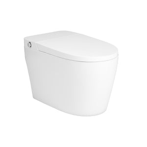 WATERSTONE-3.0L WATER SAVEING FLUSH ENERGY SCOURING SYSTEM TOILET WITH SEAT COVER MANUAL & FOOT TOUCH