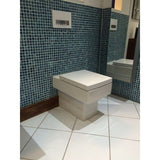 VERO TOILET FLOOR STANDING (WITHOUT SEAT COVER)