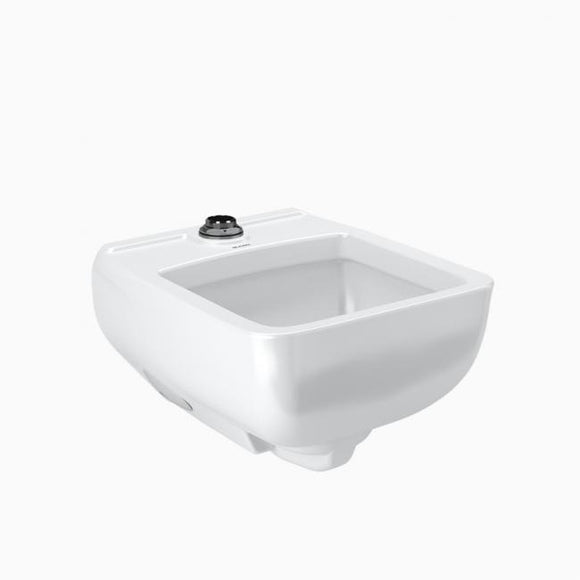 SLOAN-SS-3200 VITREOUS CHINA HEALTHCARE SERVICE SINK